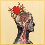 Adrenal Cancer Symptoms Adrenal Cancer Symptoms