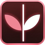 Lymphoma Cancer Stages